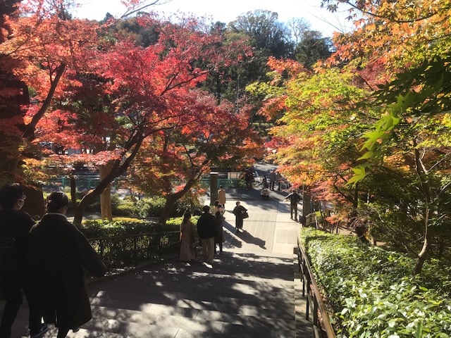 円覚寺入り口から見た紅葉の景色。