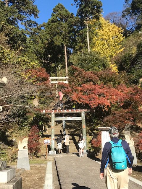 建長寺の半僧坊です。300段近い階段で、頂上からは富士山が見えました。